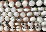 CCB2206 15 inches 10mm faceted coin white moonstone beads
