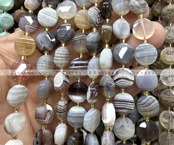 CCB2320 15 inches 12mm faceted coin Botswana agate beads