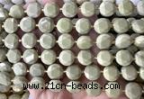 CCB2335 15 inches 12mm faceted coin Alashan jasper beads
