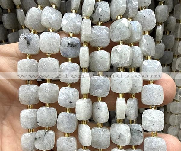 CCB2409 15 inches 10mm faceted square labradorite gemstone beads
