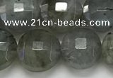 CCB684 15.5 inches 10mm faceted coin labradorite gemstone beads