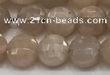CCB705 15.5 inches 6mm faceted coin moonstone gemstone beads