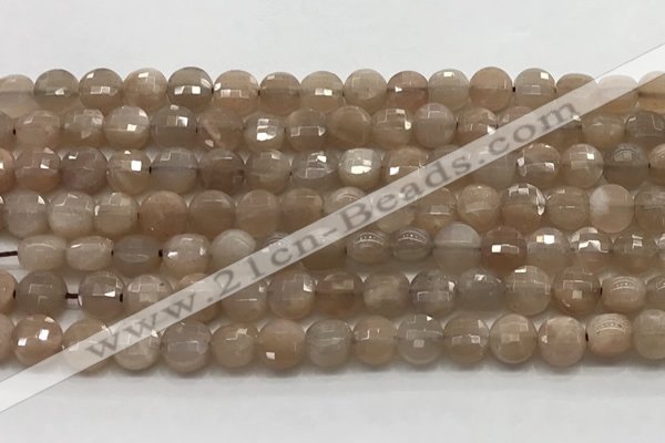 CCB705 15.5 inches 6mm faceted coin moonstone gemstone beads