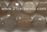 CCB725 15.5 inches 8mm faceted coin moonstone gemstone beads