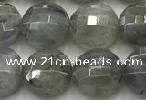 CCB726 15.5 inches 8mm faceted coin labradorite gemstone beads