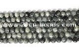 CCB765 15.5 inches 8mm faceted coin eagle eye jasper beads