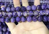 CCG140 15.5 inches 12mm round charoite gemstone beads