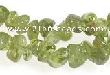 CCH16 35 inches green peridot chips gemstone beads wholesale