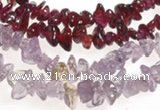 CCH19 34 inches garnet chips & amethyst chips beads wholesale