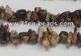 CCH204 34 inches 3*5mm red leopard skin jasper chips beads wholesale