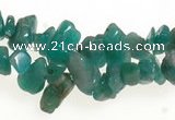 CCH21 34 inches amazonite chips gemstone beads wholesale