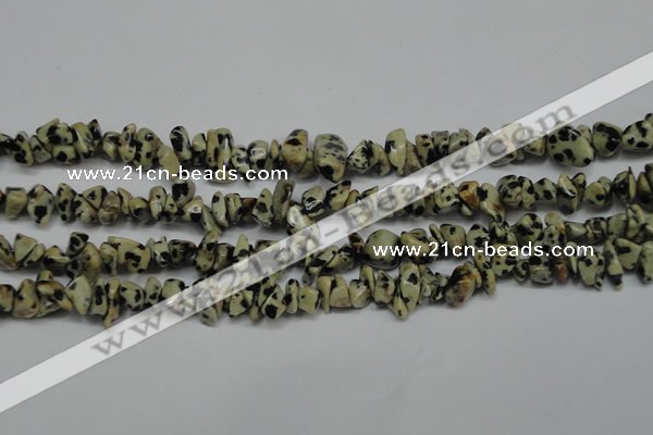 CCH228 34 inches 5*8mm dalmatian jasper chips gemstone beads wholesale