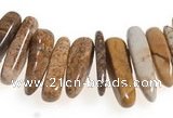 CCH26 16 inches picture jasper chips gemstone beads wholesale