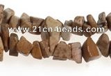 CCH27 35 inches picture jasper chips gemstone beads wholesale