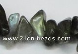 CCH277 34 inches 8*12mm labradorite chips gemstone beads wholesale