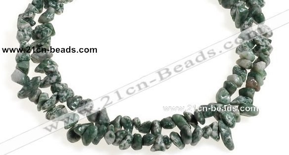 CCH29 35 inches dalmatian jasper chips gemstone beads wholesale