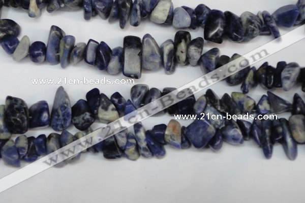 CCH300 34 inches 8*12mm sodalite chips gemstone beads wholesale