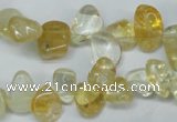 CCH312 15.5 inches 10*15mm citrine chips gemstone beads wholesale