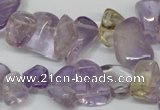 CCH314 15.5 inches 10*15mm ametrine chips gemstone beads wholesale