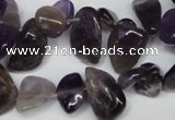 CCH316 15.5 inches 10*15mm amethyst chips gemstone beads wholesale