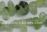 CCH318 15.5 inches 10*15mm prehnite chips gemstone beads wholesale