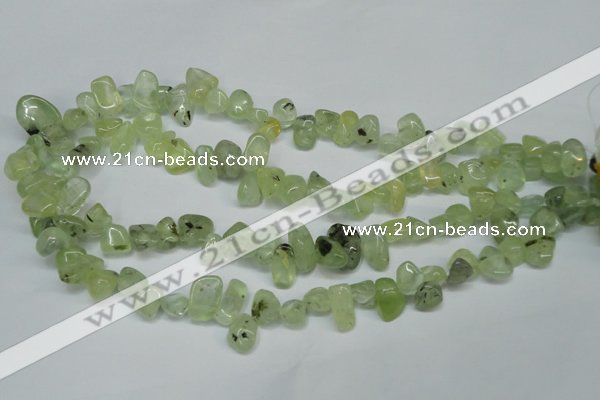 CCH318 15.5 inches 10*15mm prehnite chips gemstone beads wholesale