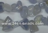 CCH322 15.5 inches 10*15mm blue chalcedony chips beads wholesale