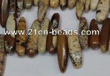 CCH345 15.5 inches 5*20mm picture jasper chips beads wholesale