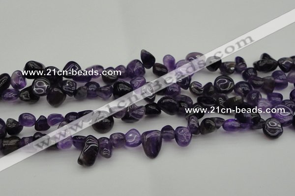 CCH615 15.5 inches 6*8mm - 10*14mm amethyst chips gemstone beads