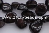 CCH617 15.5 inches 6*8mm - 10*14mm garnet chips gemstone beads