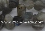 CCH618 15.5 inches 6*8mm - 10*14mm labradorite chips gemstone beads