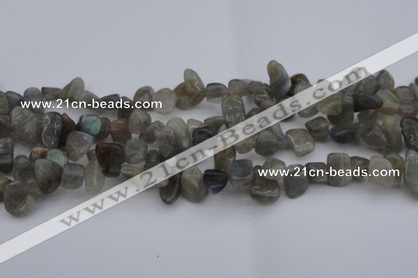 CCH618 15.5 inches 6*8mm - 10*14mm labradorite chips gemstone beads