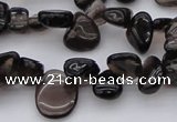 CCH623 15.5 inches 6*8mm - 10*14mm smoky quartz chips beads