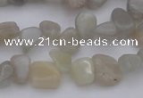 CCH625 15.5 inches 6*8mm - 10*14mm grey moonstone chips beads