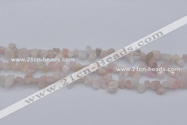 CCH626 15.5 inches 6*8mm - 10*14mm morganite gemstone chips beads