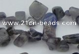 CCH627 15.5 inches 6*8mm - 10*14mm iolite gemstone chips beads