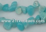 CCH631 15.5 inches 6*8mm - 10*14mm Peru amazonite chips beads