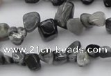 CCH633 15.5 inches 6*8mm - 10*14mm eagle eye jasper chips beads