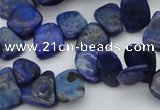 CCH634 15.5 inches 6*8mm - 10*14mm lapis lazuli chips beads