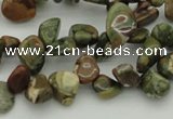 CCH637 15.5 inches 6*8mm - 10*14mm rhyolite gemstone chips beads