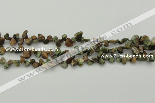 CCH637 15.5 inches 6*8mm - 10*14mm rhyolite gemstone chips beads