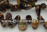 CCH638 15.5 inches 6*8mm - 10*14mm yellow tiger eye chips beads