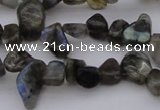 CCH642 15.5 inches 6*8mm - 10*14mm labradorite chips beads