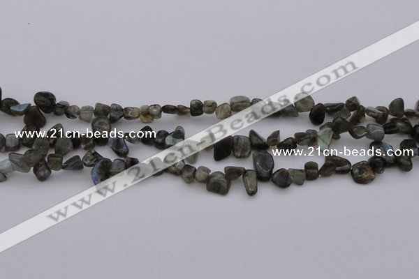 CCH642 15.5 inches 6*8mm - 10*14mm labradorite chips beads