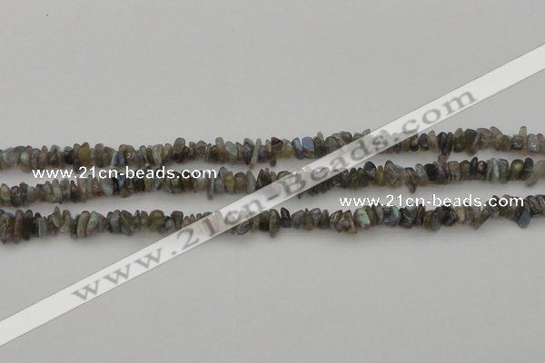 CCH645 15.5 inches 4*6mm - 5*8mm labradorite chips beads