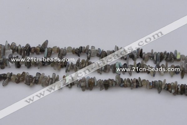 CCH646 15.5 inches 4*10mm - 6*14mm labradorite chips beads