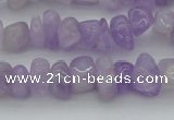 CCH648 15.5 inches 8*12mm - 10*14mm lavender amethyst chips beads