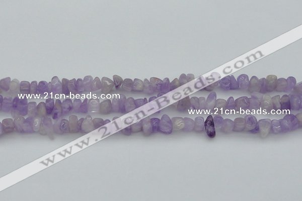 CCH648 15.5 inches 8*12mm - 10*14mm lavender amethyst chips beads