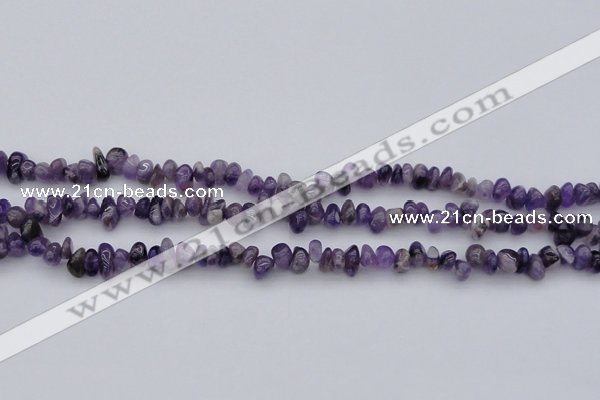 CCH649 15.5 inches 4*6mm - 5*8mm amethyst gemstone chips beads