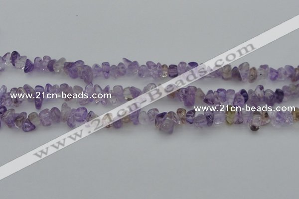 CCH652 15.5 inches 8*12mm - 10*14mm ametrine gemstone chips beads